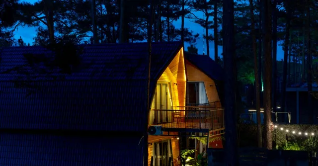 A cozy wooden cabin nestled in a forest, warmly illuminated at night, creating a serene ambiance.