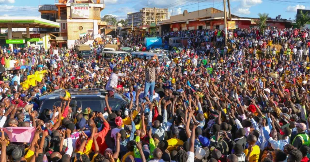 A lively outdoor event with a massive crowd and dynamic scene under a sunny sky.