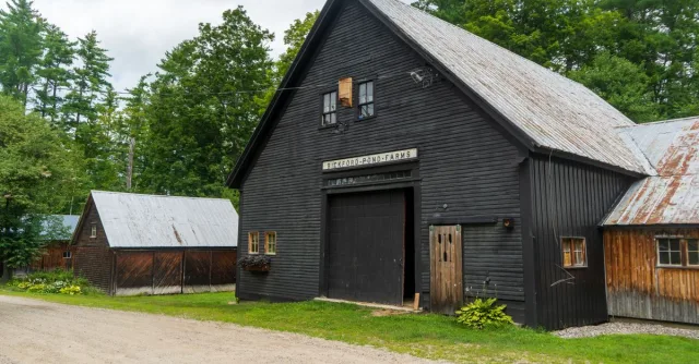 Charming black and wooden barns at Bickford Pond Farms surrounded by lush green trees.