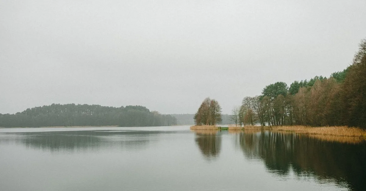 Tranquil lake scene in Poland surrounded by trees under a cloudy sky, reflecting serenity and peacefulness.