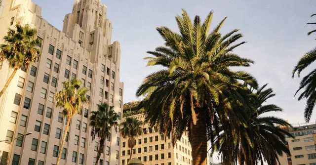 Art Deco architecture with palm trees under a sunny sky, capturing urban beauty and design.