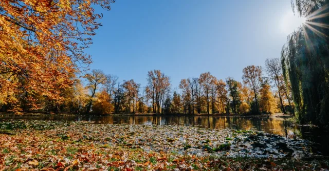 Stunning autumn landscape featuring a tranquil lake surrounded by colorful foliage.