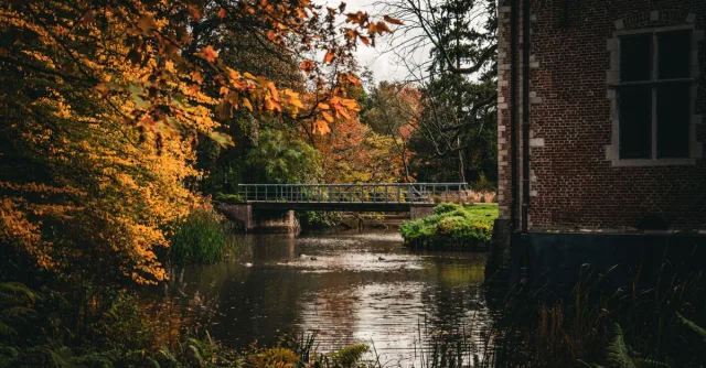Tranquil autumn scene featuring a bridge and brick building by a stream in Malle, Belgium.