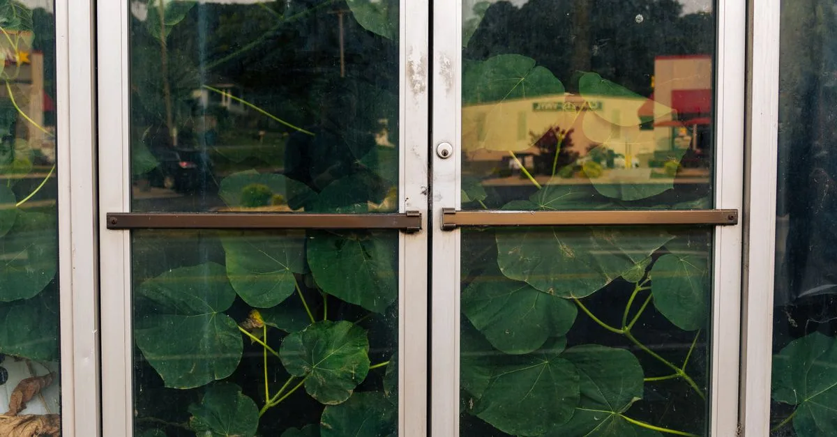 Glass doors with reflections of greenery and urban scene, capturing a contrast between nature and city life.