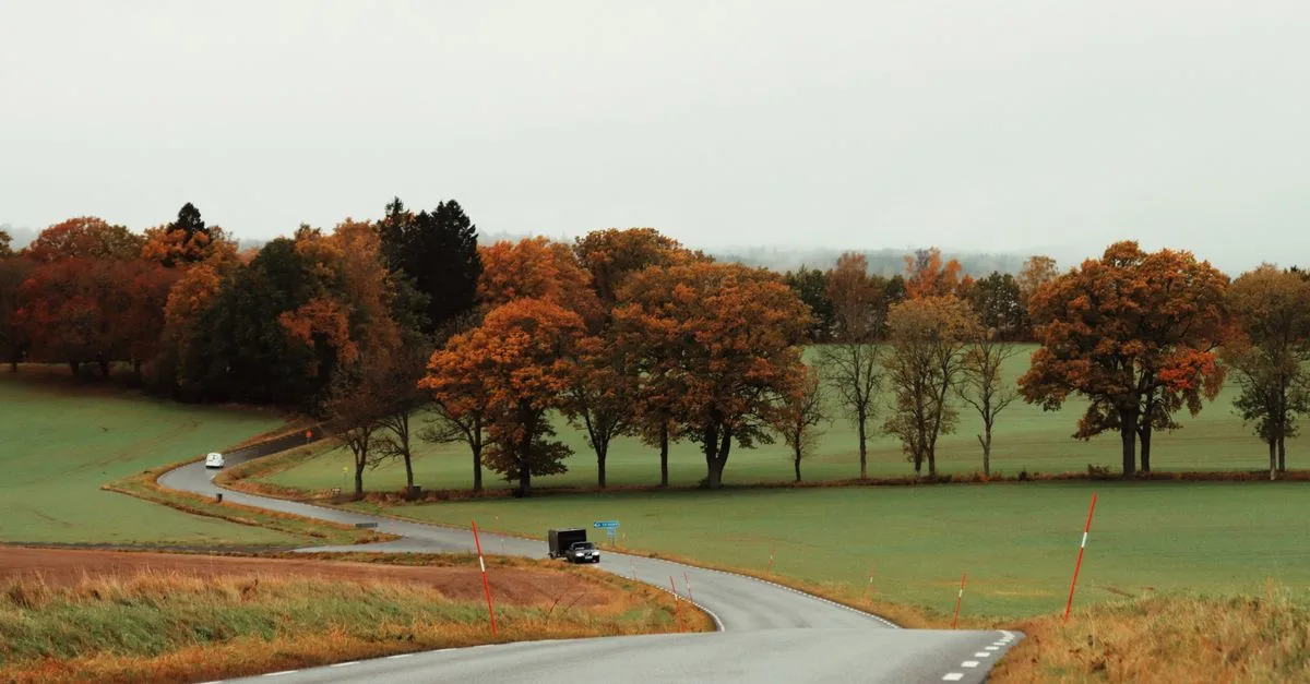 A peaceful rural road in Jönköping, Sweden, lined with vibrant autumn trees.