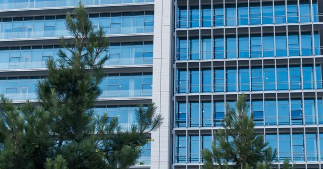 Contemporary glass facade with pine trees in foreground, offering a blend of urban and nature.