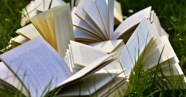 An artistic arrangement of open books in a grassy field, emphasizing a love for outdoor reading.
