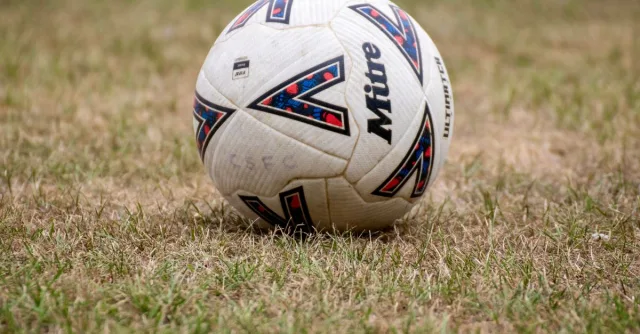 Close-up of a soccer ball on dry grass in Tipton, England. Perfect for sports and recreation themes.
