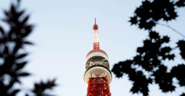 Tokyo Tower captured from a unique low angle, framed by silhouette of trees, during daytime.