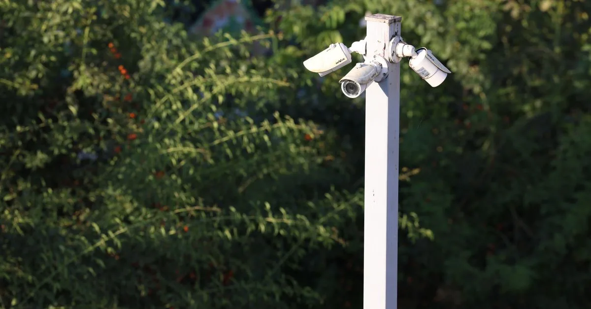 Cluster of surveillance cameras mounted outdoors amidst green foliage for public safety.