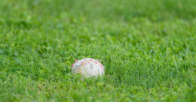Worn cricket ball resting on a lush green grass field, ideal for sports theme.
