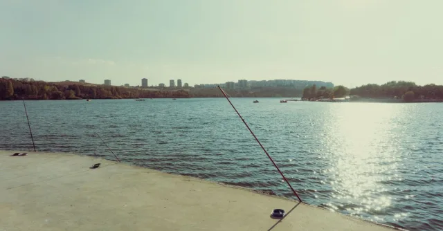 Peaceful lakeside view with fishing rods, urban skyline, and shimmering water at sunset.