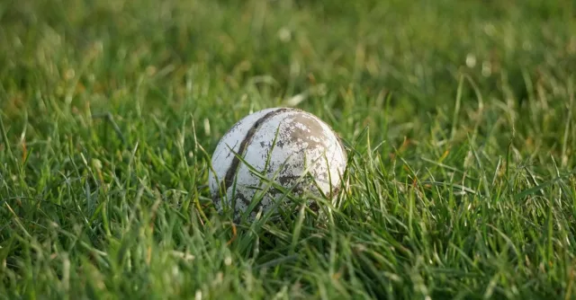 Detailed image of a hurling ball resting on lush green grass in Ireland.