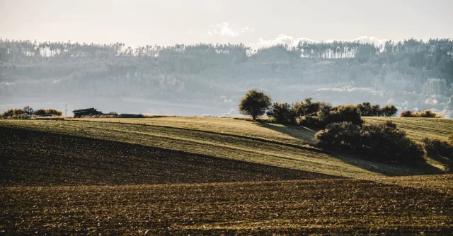 A peaceful countryside view showcasing rolling hills with trees during daytime.