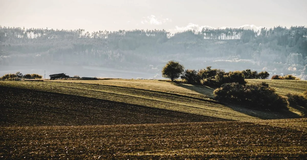 A peaceful countryside view showcasing rolling hills with trees during daytime.