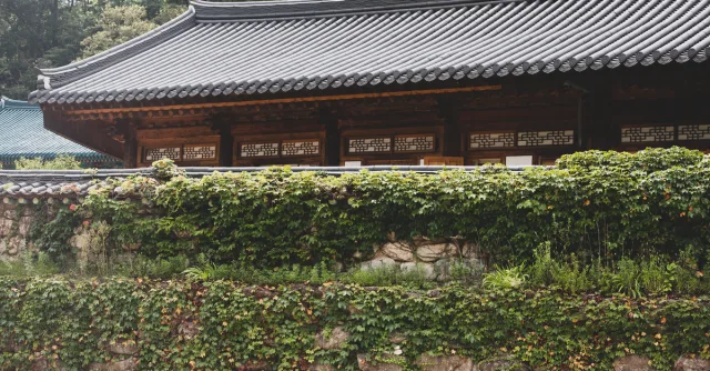 Traditional Korean temple with ivy-covered stone wall, serene nature setting.