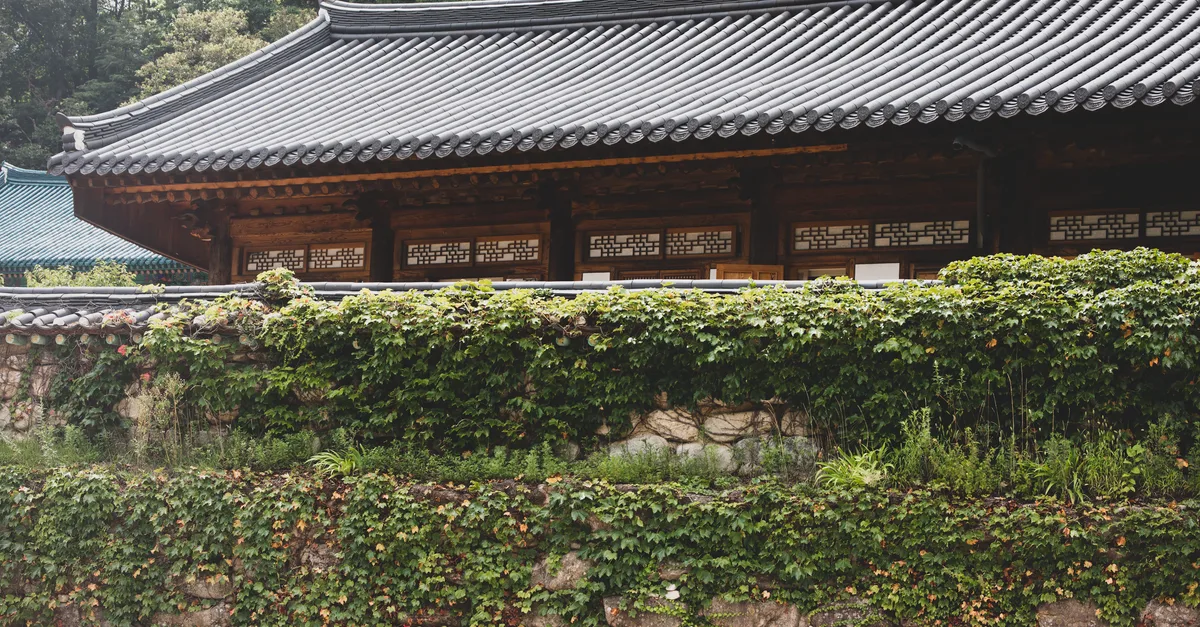Traditional Korean temple with ivy-covered stone wall, serene nature setting.