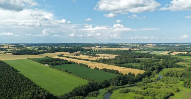 Lush green fields and rolling hills under a blue sky in Denmark's summer landscape.