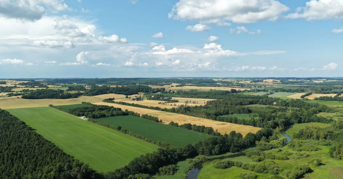 Lush green fields and rolling hills under a blue sky in Denmark's summer landscape.