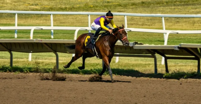 Dynamic shot of a horse race in Shakopee, MN, showcasing speed and competition