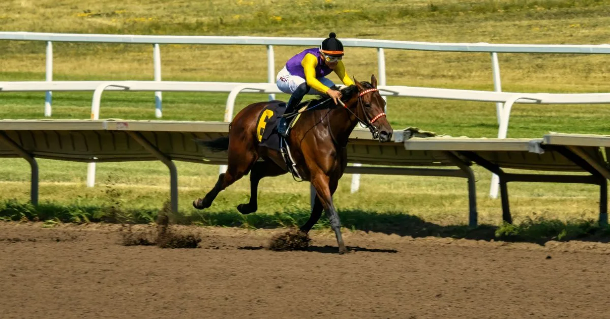 Dynamic shot of a horse race in Shakopee, MN, showcasing speed and competition