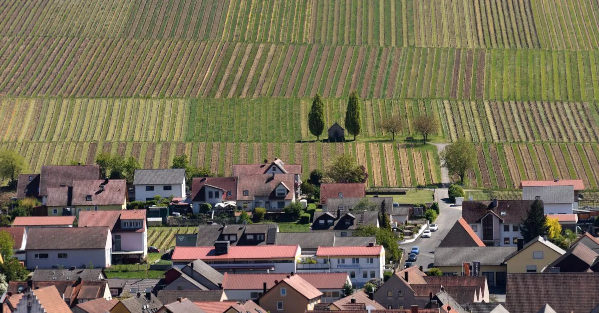 Scenic view of vineyards behind a quaint German village in Nordheim am Main, Bavaria.