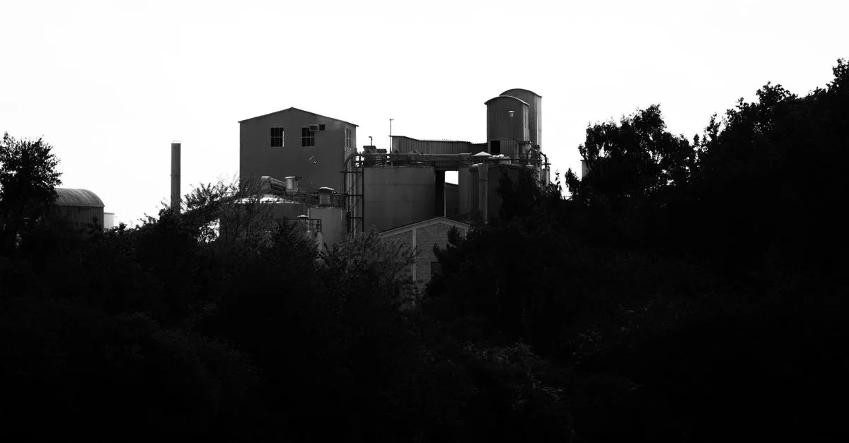 Black and white image of an industrial factory surrounded by trees in Andernach, Germany.