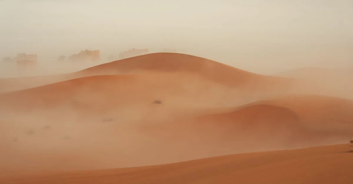 Captivating view of misty sand dunes enveloped in fog, evoking a serene desert atmosphere.