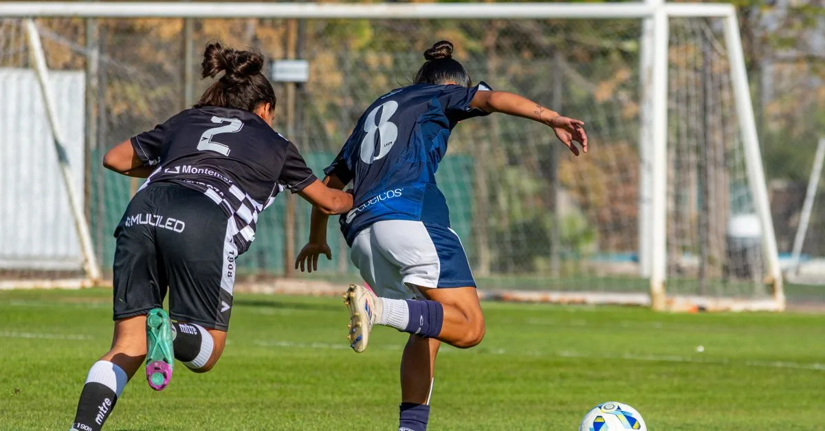 Dynamic shot of female soccer players in action during a match on a sunny day.