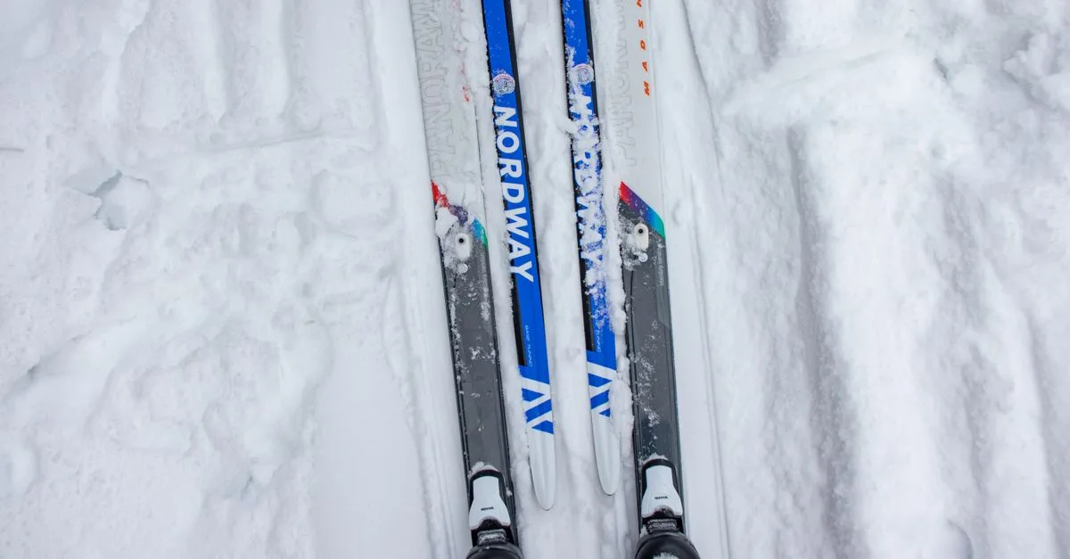 Top view of cross-country skis on a snowy trail in a winter setting, perfect for outdoor sports enthusiasts.