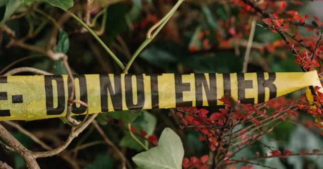 Yellow caution tape stretches across vibrant foliage in an outdoor setting.