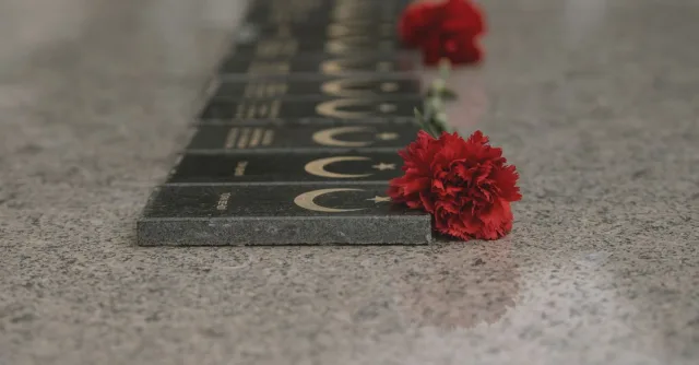 Red carnations placed on cemetery grave markers, symbolizing remembrance.