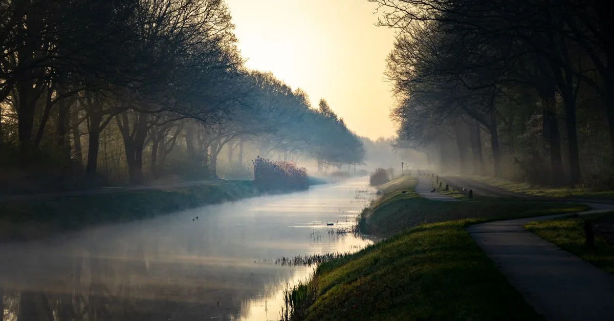A serene canal view at dawn with mist, trees, and a tranquil pathway, creating a peaceful autumn atmosphere.