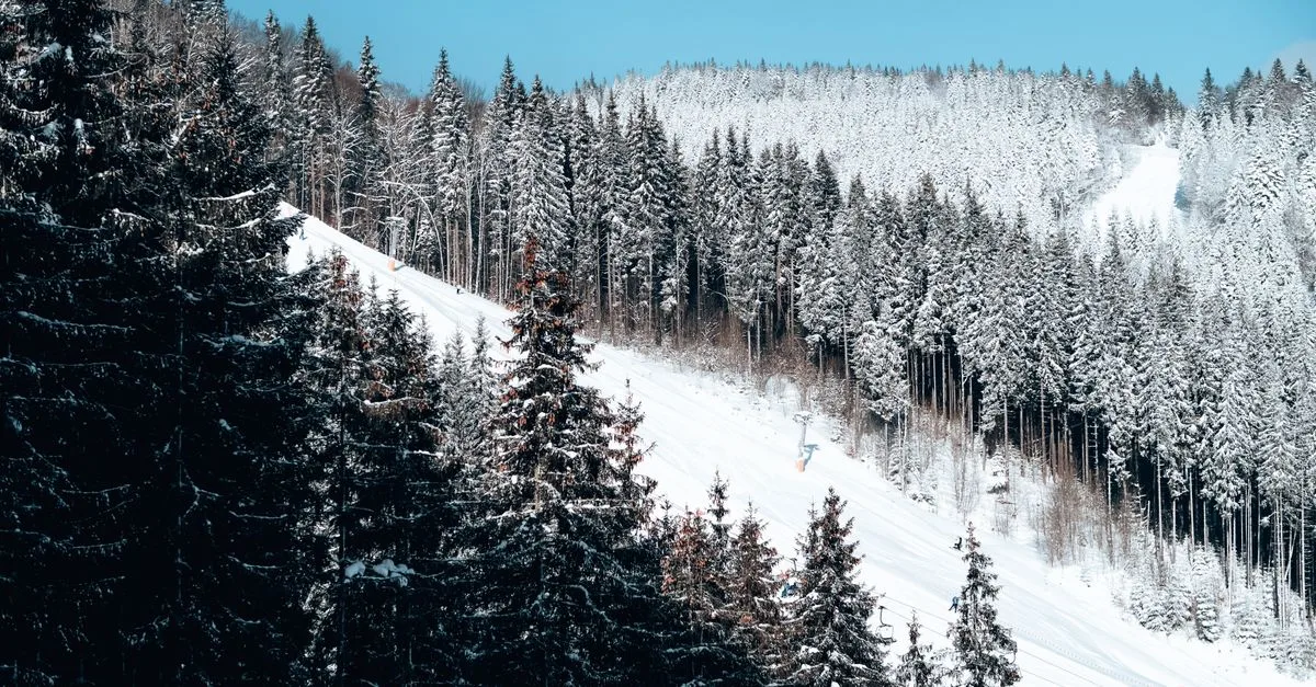 Snow-covered ski slope surrounded by winter forests under a clear blue sky.