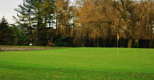 Tranquil golf course in autumn, featuring lush green lawn and golden trees under clear sky.