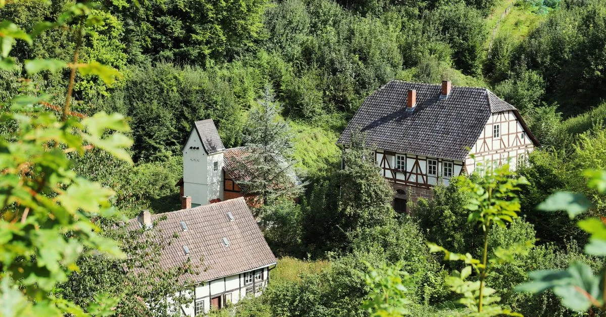 Explore traditional Fachwerk houses nestled in a lush forest landscape, showcasing rustic charm and heritage.