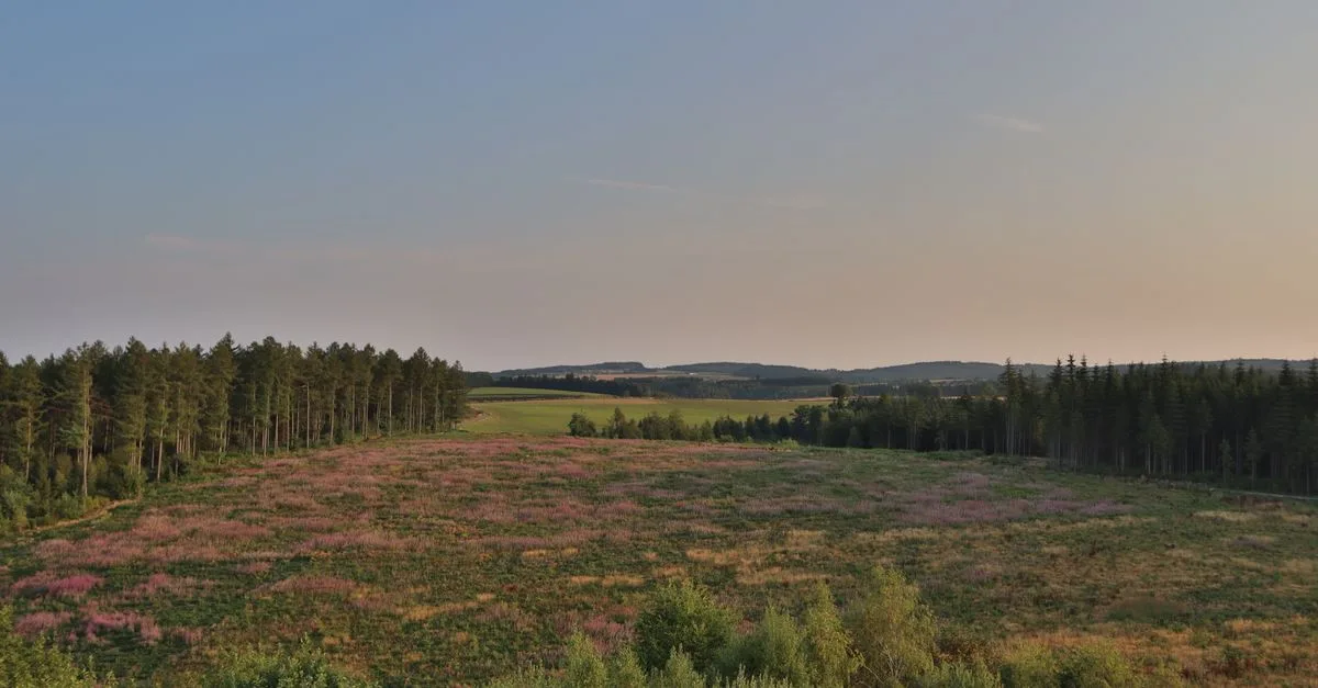 Beautiful summer landscape of fields and forests in Bouillon, Belgium, at sunset.