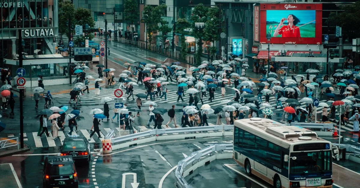 Crowds crossing Shibuya intersection in Tokyo under umbrellas on a rainy day.