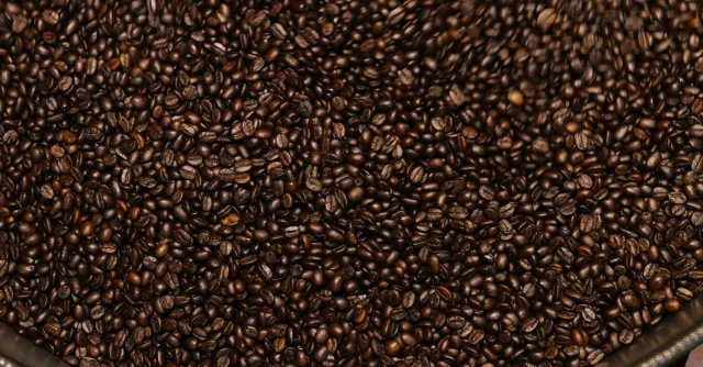 A close-up image of freshly roasted coffee beans in a container, ideal for showcasing coffee culture.