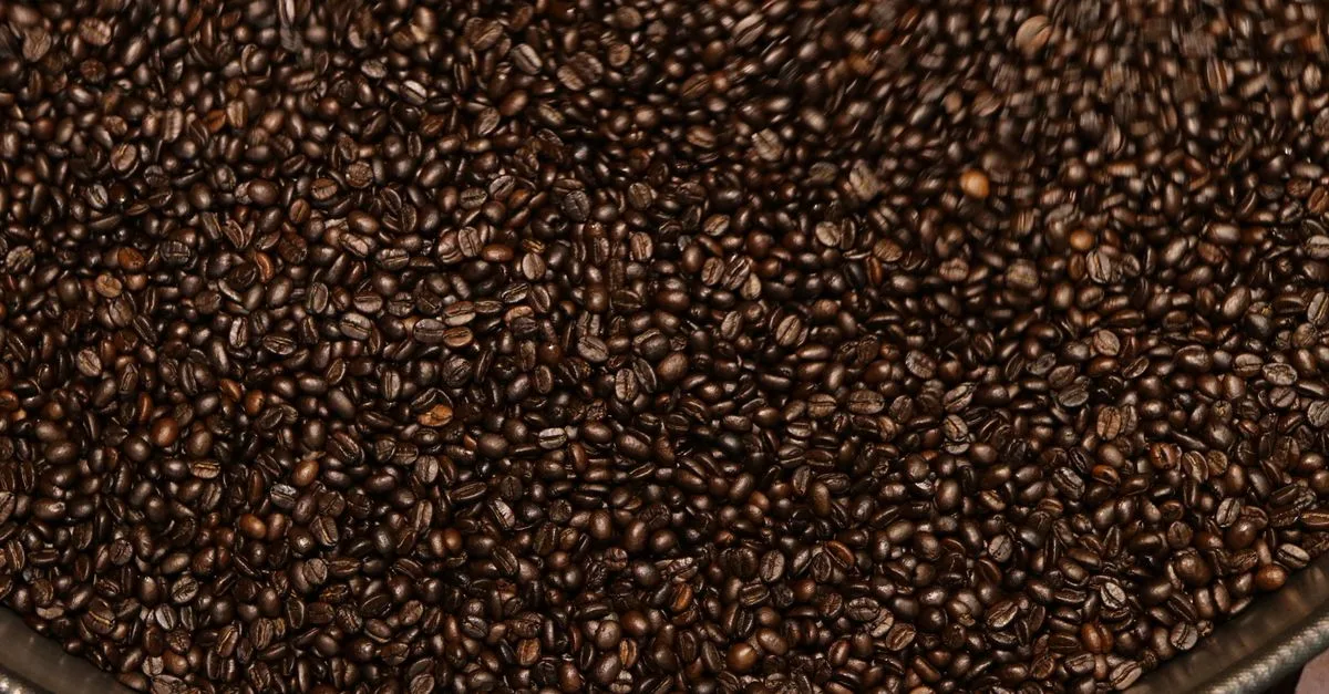 A close-up image of freshly roasted coffee beans in a container, ideal for showcasing coffee culture.