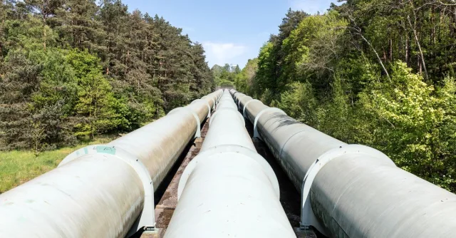 Large industrial pipeline traversing through a green forest in Geesthacht, Germany.