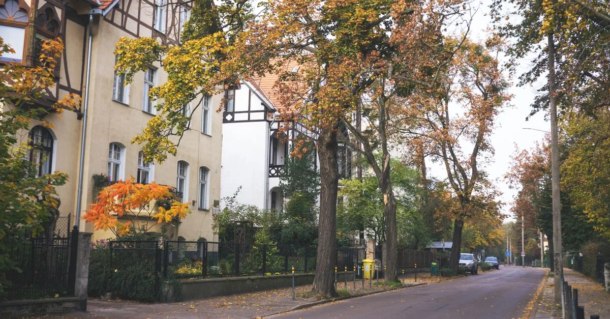 Peaceful European street view with autumn foliage and historic architecture.