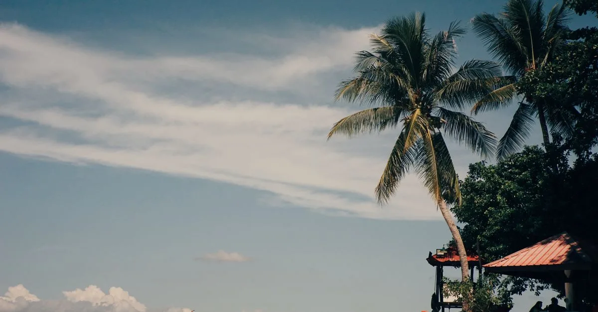 Serene tropical beach scene featuring palm trees, blue sky, and sandy shore under daylight.