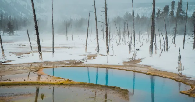 A frosty winter scene depicting a geyser basin in Yellowstone National Park.