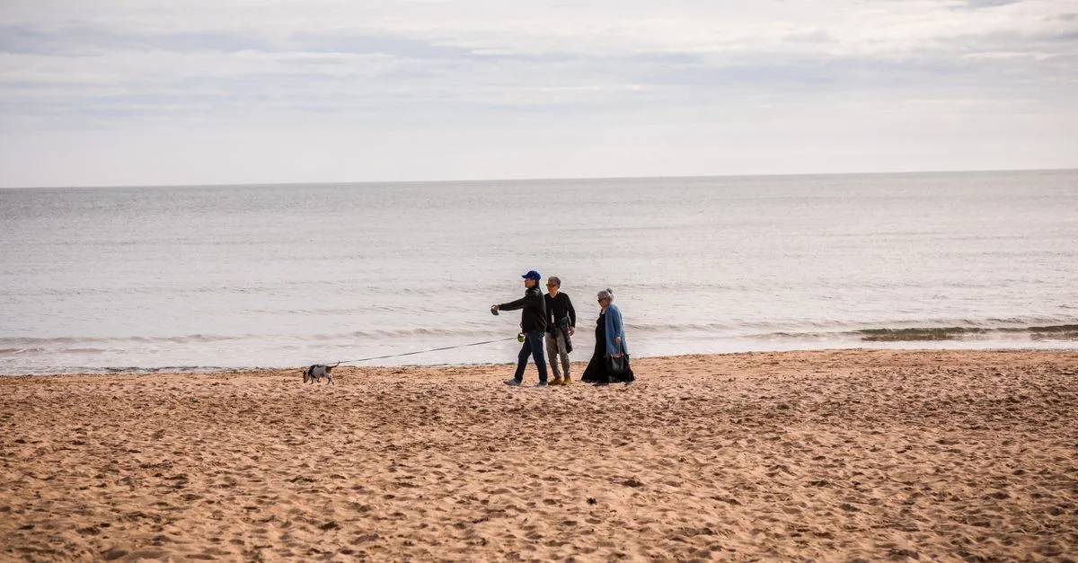 Family enjoying a walk with dog on Bournemouth beach, England. Serene seaside setting.