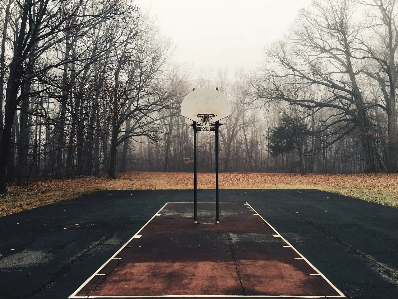 A professional basketball court with polished hardwood floors and stadium lighting.