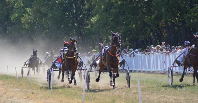 Horses and riders compete in a thrilling sulky race outdoors, with spectators watching eagerly.