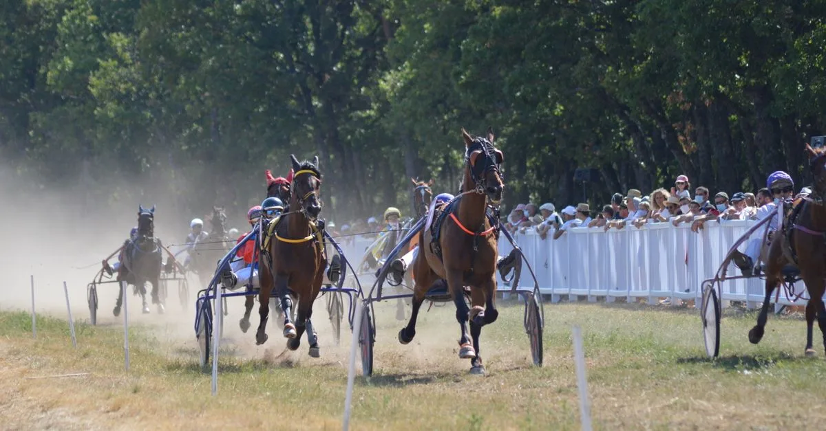 Horses and riders compete in a thrilling sulky race outdoors, with spectators watching eagerly.