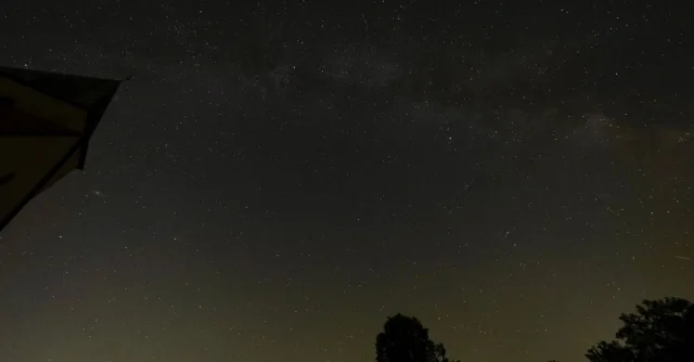 A stunning view of the starry night sky showcasing the Milky Way above silhouettes of trees.