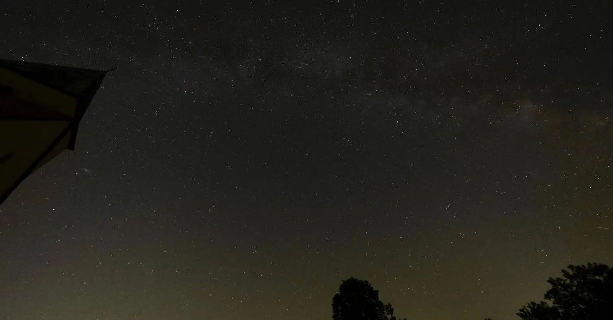 A stunning view of the starry night sky showcasing the Milky Way above silhouettes of trees.